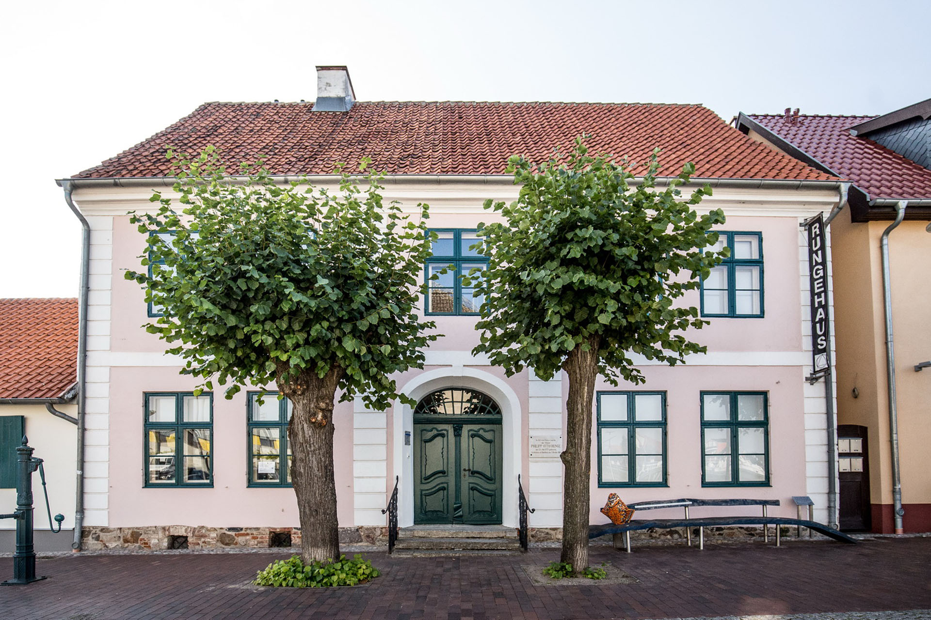 Das Runge HAus in Wolgast mit zwei Linden am Eingang. Das haus ist altrosa, mit einer grünen Holztür und grünen Fensterrahmen